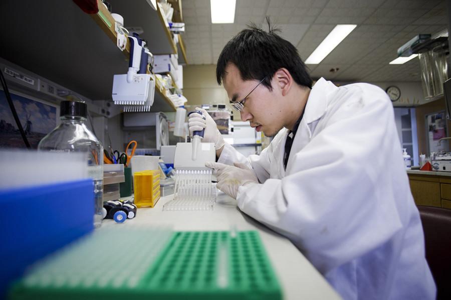 Researcher Huang Huang concucts an experiment on a flu vaccine at the Stanford University School of Medicine on February 6, 2013. 