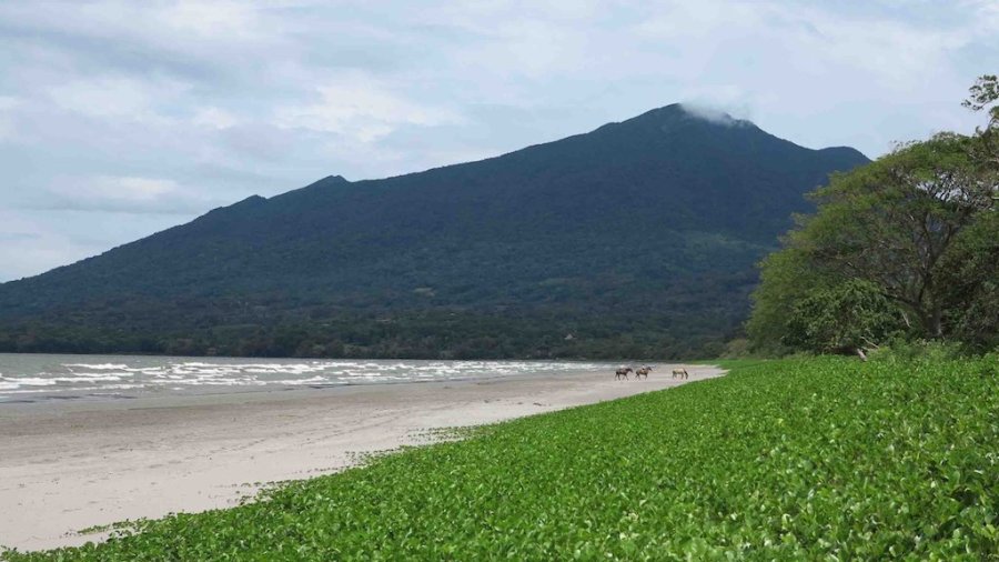 The Maderas Volcano looms at the end of a beach on Ometepe Island in Nicaragua on August 14, 2014.