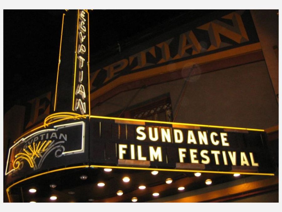 Sundance Film Festival 2015: Comedians Get Serious In New Movies