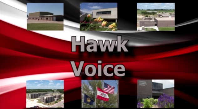 Hawk+Voice