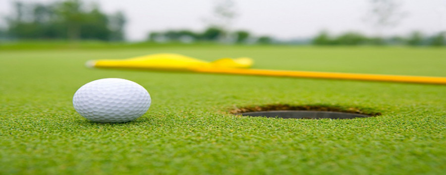 Northeast Golf Takes Fifth At Region XI Championship