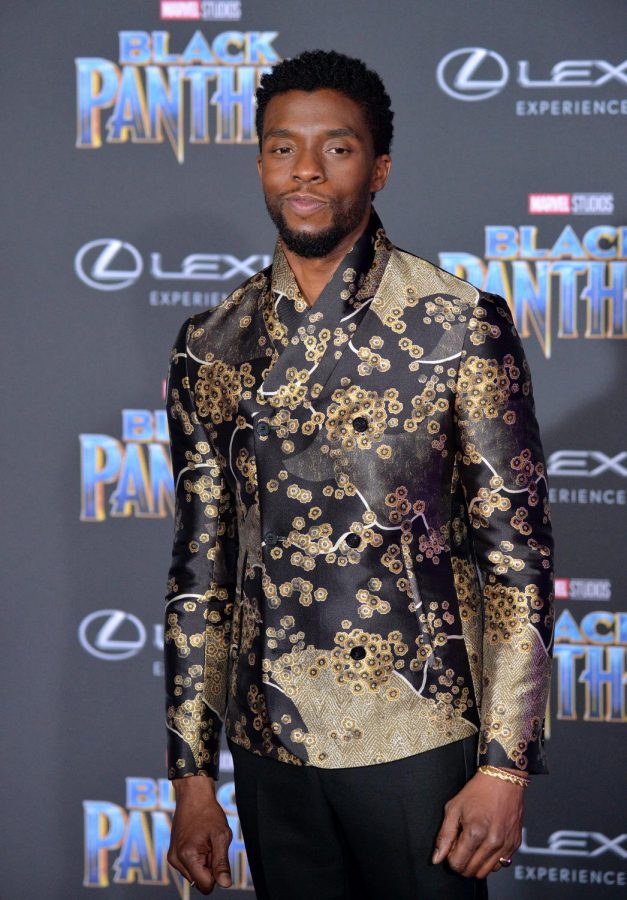 At the ‘Black Panther’ premiere, representation is everything